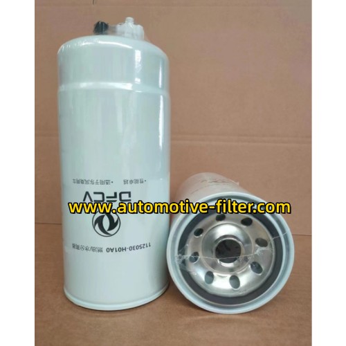 Fuel Water/Separator 1125030-H01A0